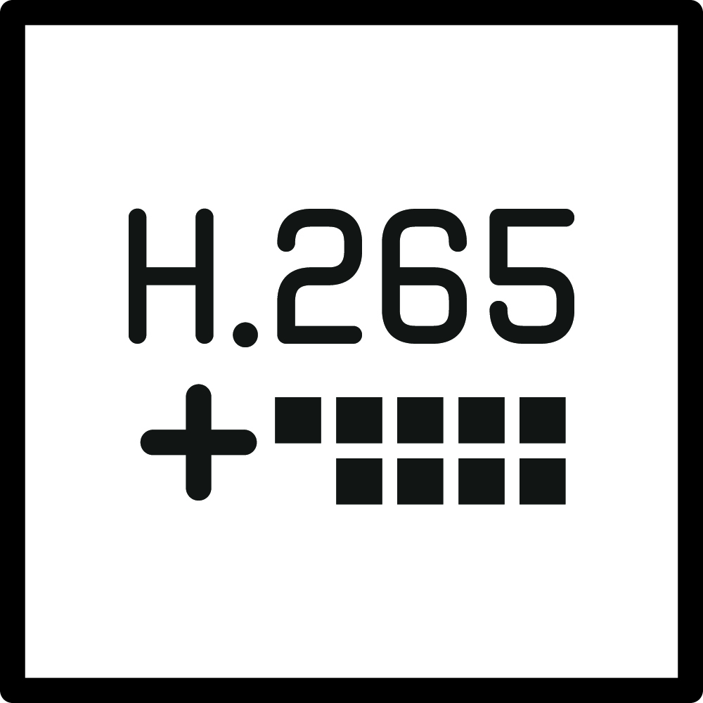 H.265+